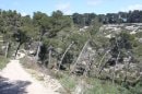 Du Pont de la Bécasse à la route de St Loup